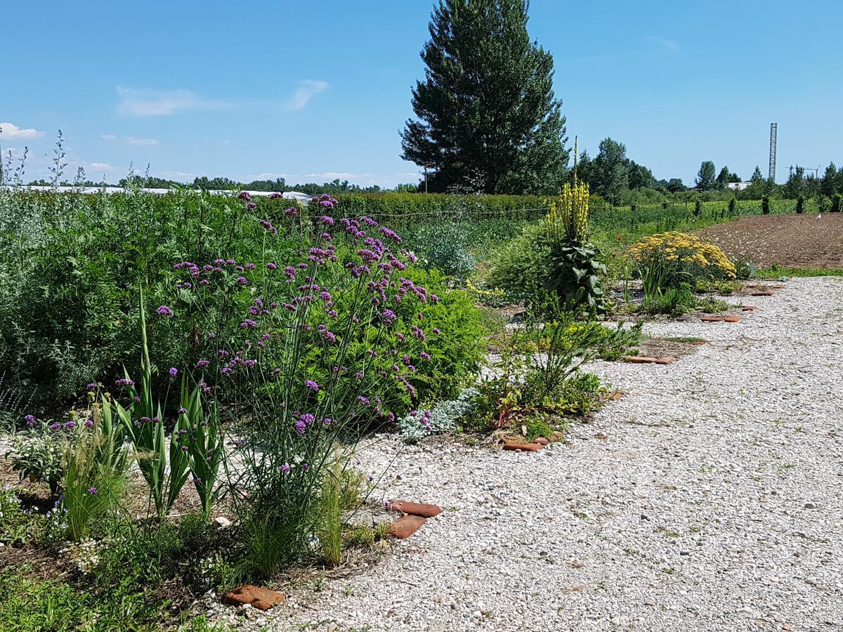 Agriturismo Frascje Dai Spadons Villa Pradamano Exteriör bild